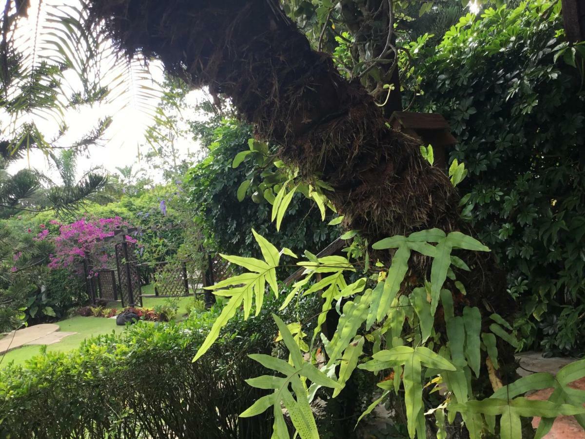 Hotel Rancho Olivier Jarabacoa Extérieur photo